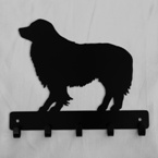 border-collie-1 hook image
